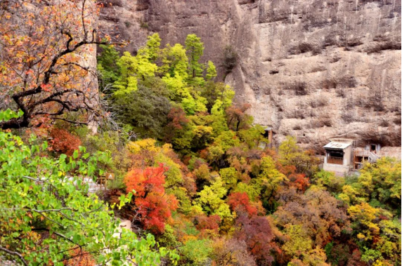 木梯寺的秋,是梦回千年的穿越692.png 木梯寺的秋,是梦回千年的穿越692.png