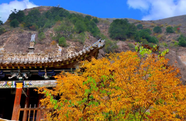 木梯寺的秋,是梦回千年的穿越689.png 木梯寺的秋,是梦回千年的穿越689.png