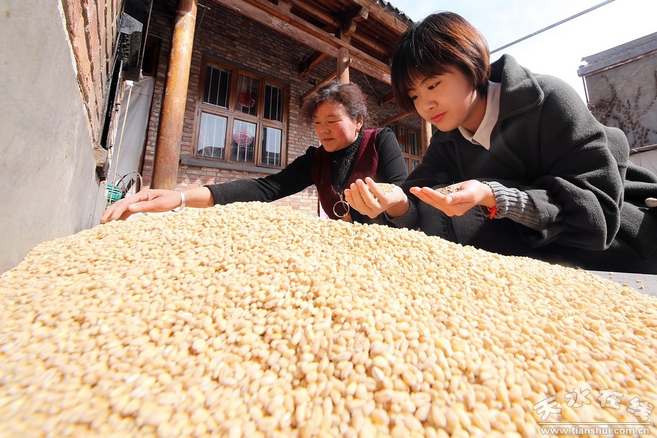 1501062266448520.jpg 4.jpg