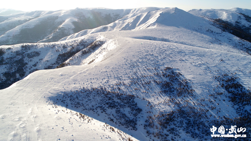 1516610759799702.jpg 2.jpg