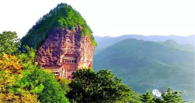 1557027140117519.jpg 1.jpg