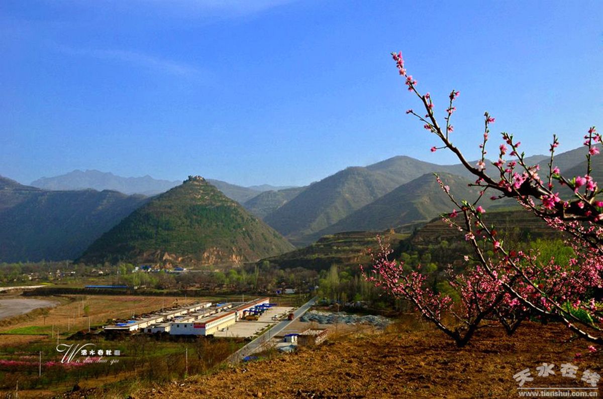 1516086659162143.jpg 15.jpg