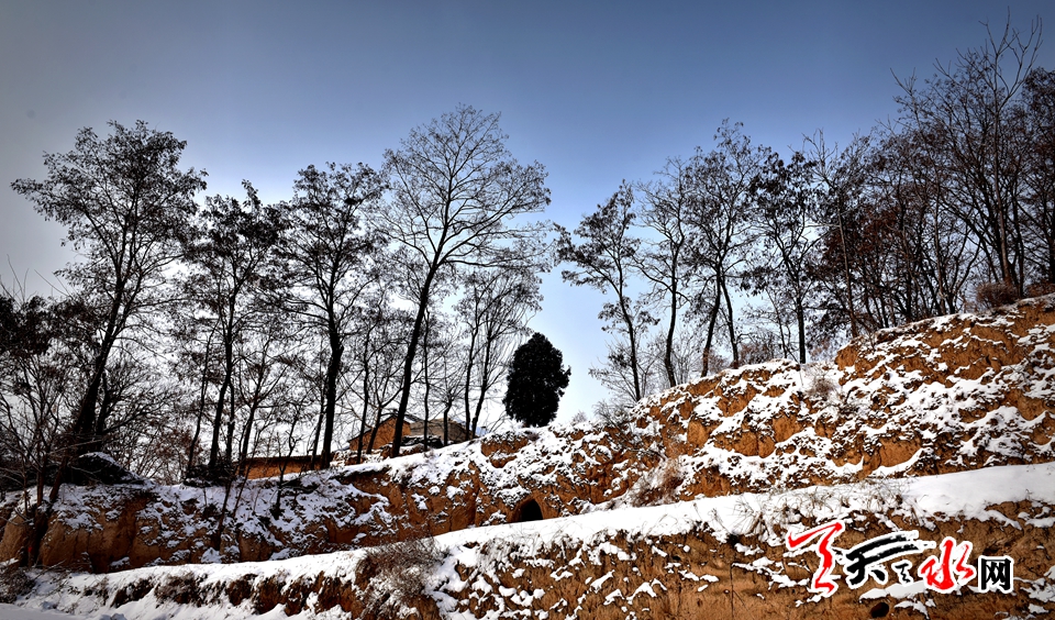 1515486102483203.jpg IMG10c37ba11e9c4654042248.jpg