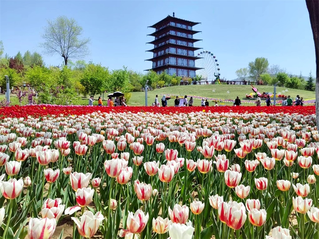 5马跑泉公园.jpg 5马跑泉公园.jpg