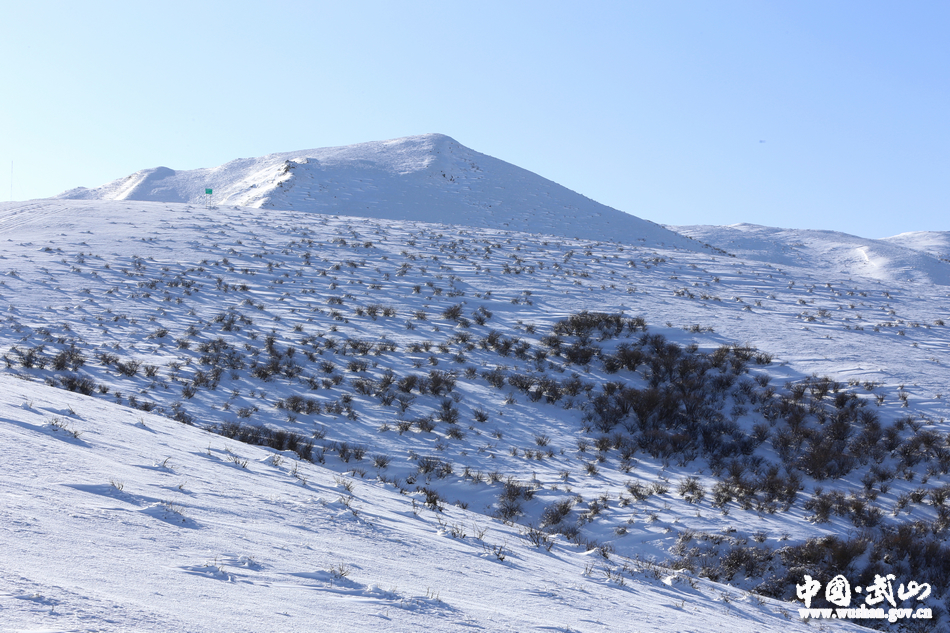 1516610796558251.jpg 5.jpg