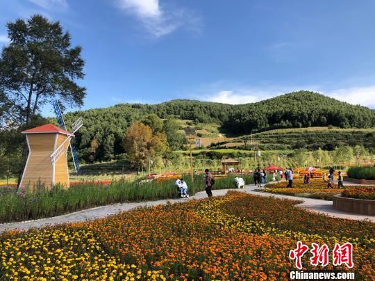 1547872645134530.jpg 1.jpg