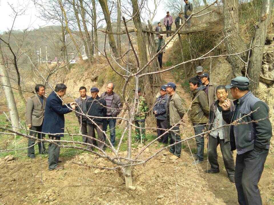 image004.jpg image004.jpg