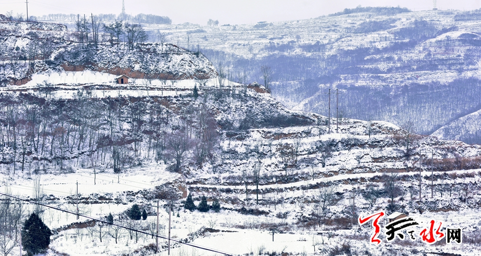 1515485830314304.jpg IMG10c37ba11e9c46540423226.jpg