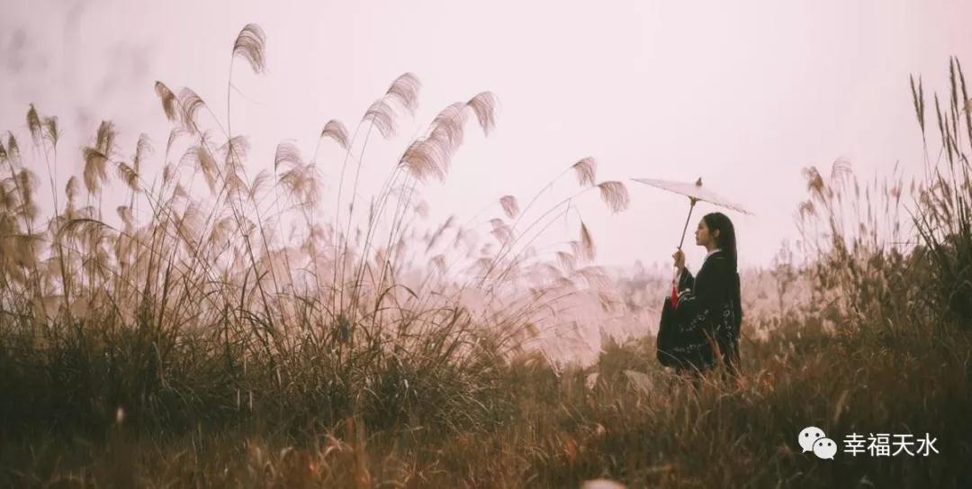 1553564833340467.jpg 5.jpg