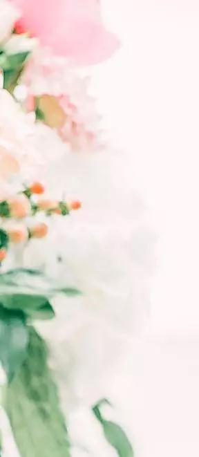 1553564668139853.jpg 00.jpg