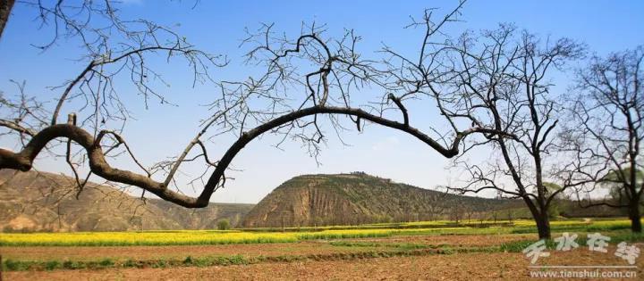 1512887879972432.jpg 2.jpg