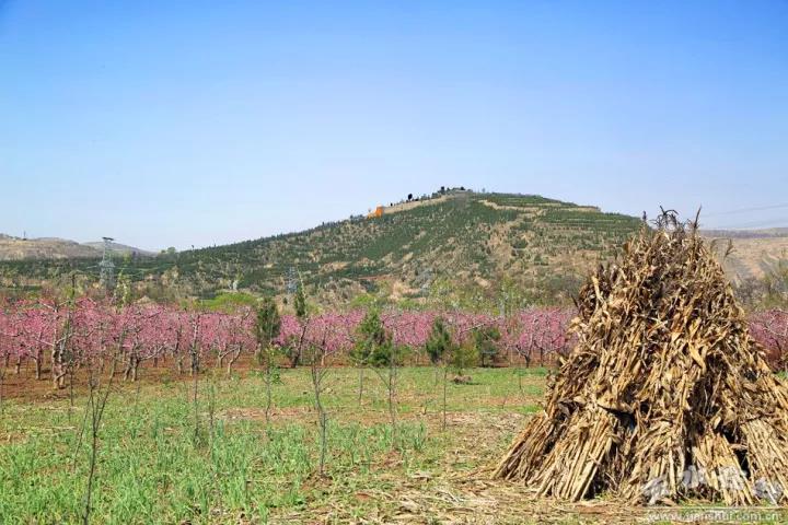 1512887927113689.jpg 5.jpg