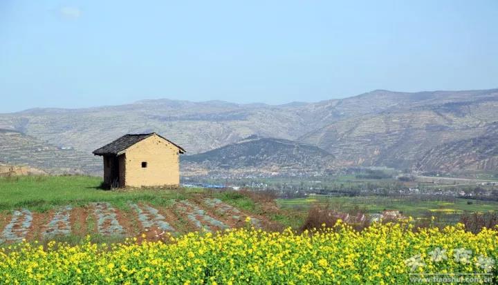 1512887863127460.jpg 1.jpg