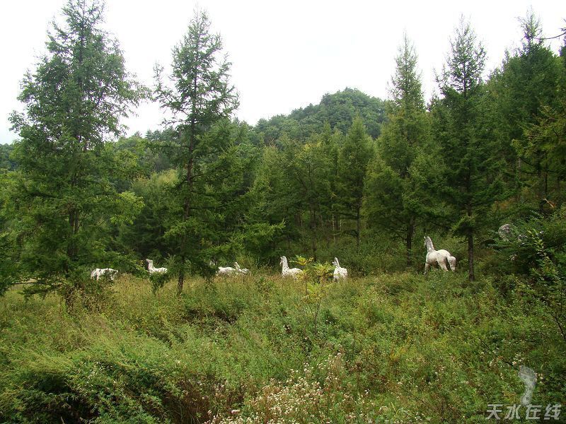 1512963992848758.jpg 3.jpg