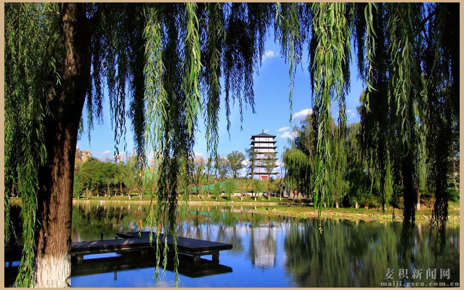 1510280165108577.jpg 4.jpg