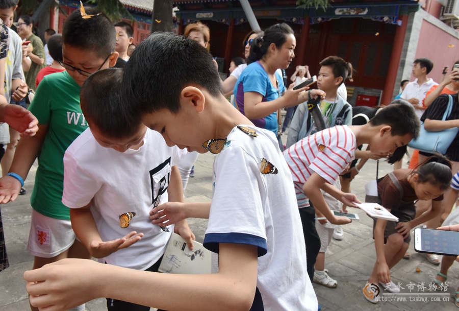 1505876805769795.jpg 4.jpg