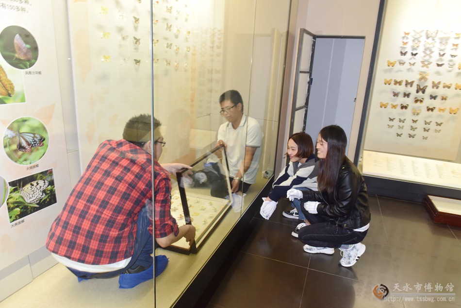 1505876811283966.jpg 5.jpg