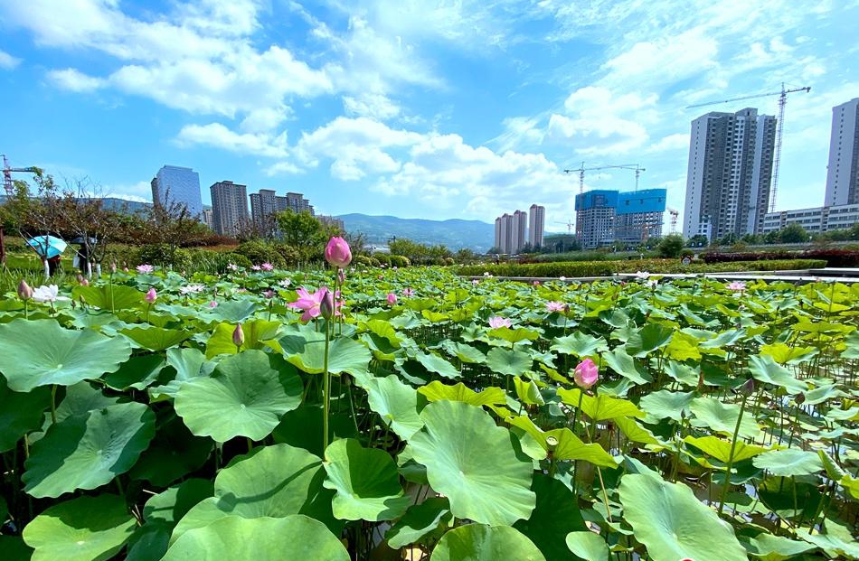 藉和风情线2_看图王.jpg 藉和风情线2_看图王.jpg