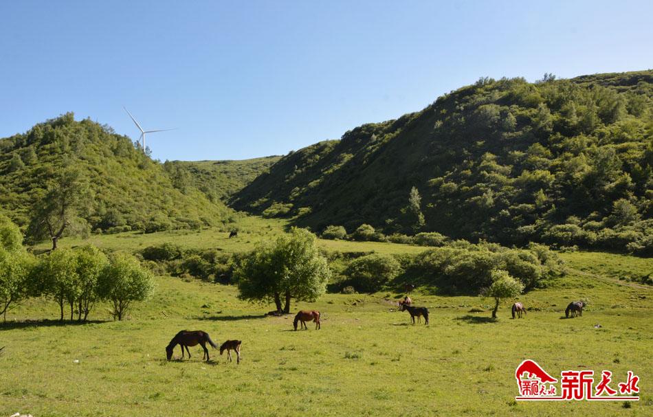 古坡草原.jpg 古坡草原.jpg