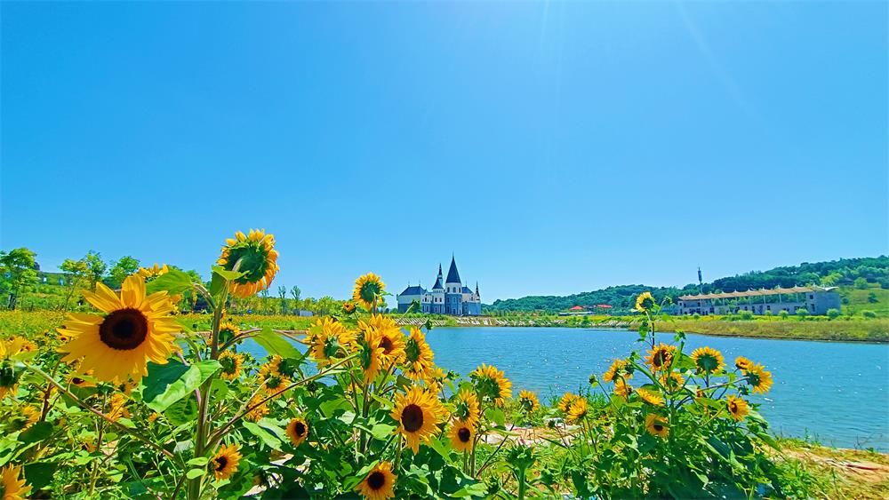 微信图片_20220729172024.jpg 微信图片_20220729172024.jpg