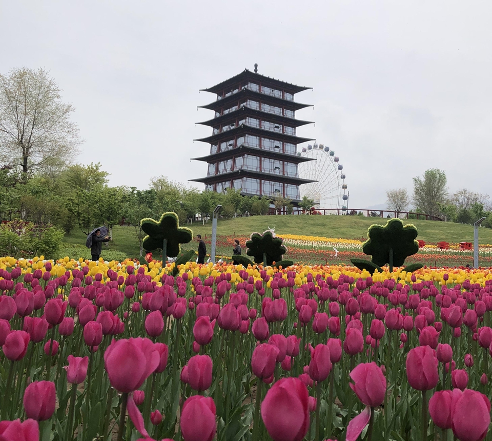 图片7.jpg 图片7.jpg