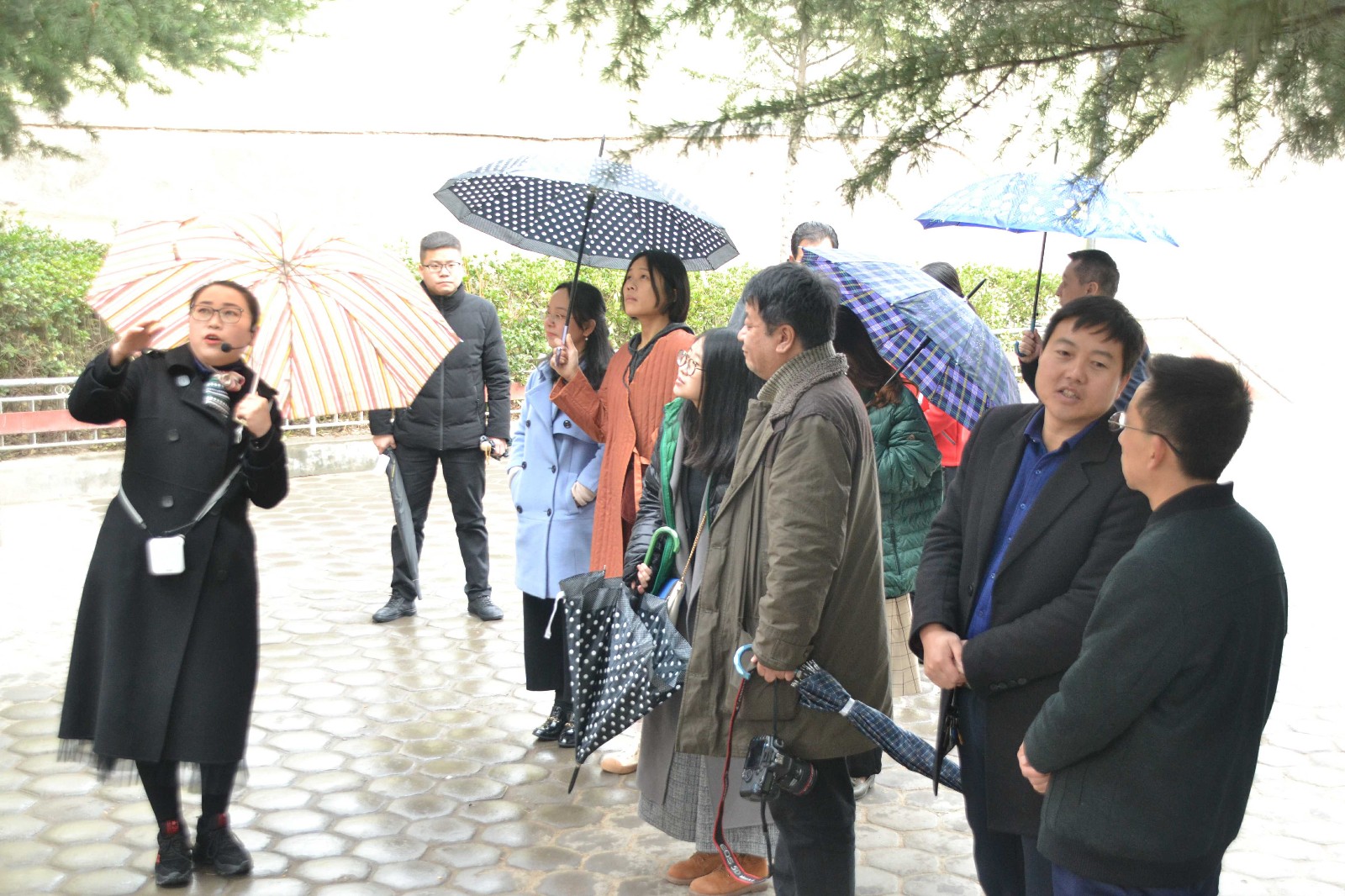 1552016220117562.jpg dsc_0012-副本.jpg