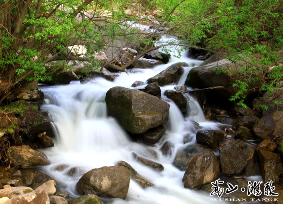 1507708455119486.jpg 10.jpg