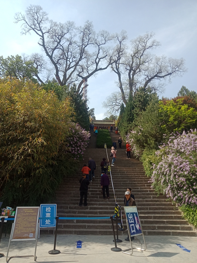 1588405618100556.jpg 微信图片_202004301822572.jpg