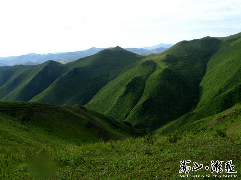 1507708420988440.jpg 8.jpg