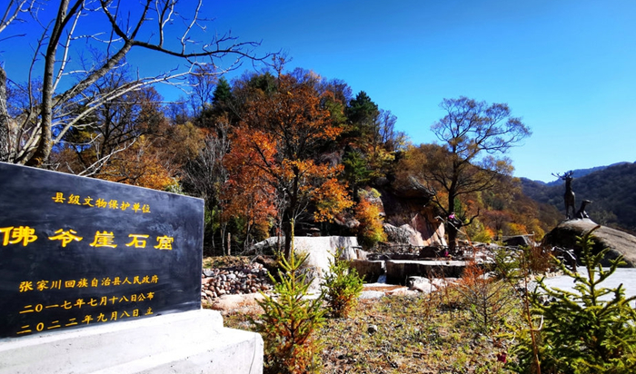 图片1.jpg 图片1.jpg