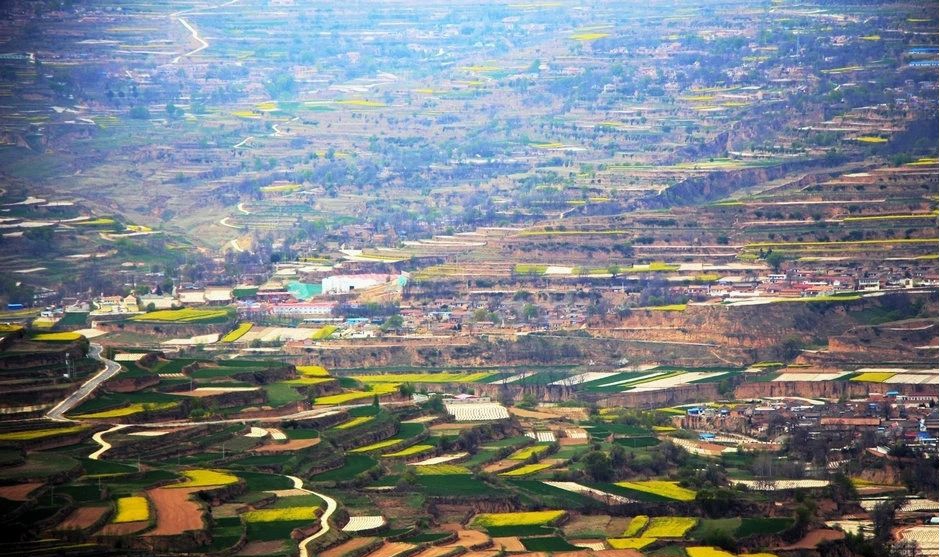 1588405147850308.jpg 图片5.jpg