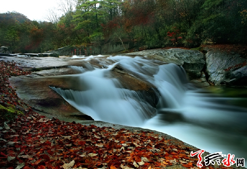 1521789344971872.jpg IMGb083fe7c568147177247154.jpg