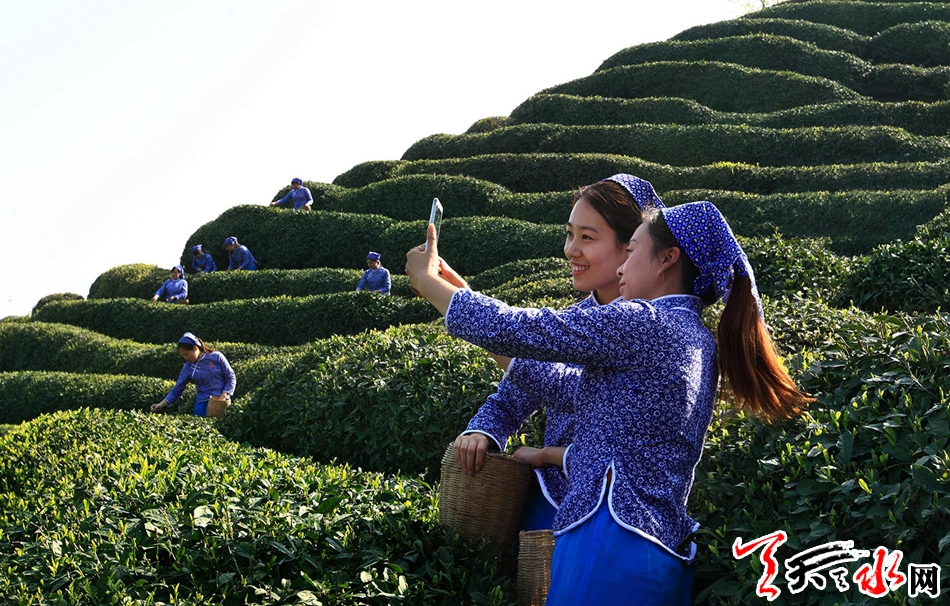 1521789207135025.jpg IMGb083fe7c568147177109630.jpg