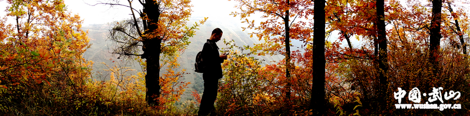 1509676952544696.jpg 11.jpg