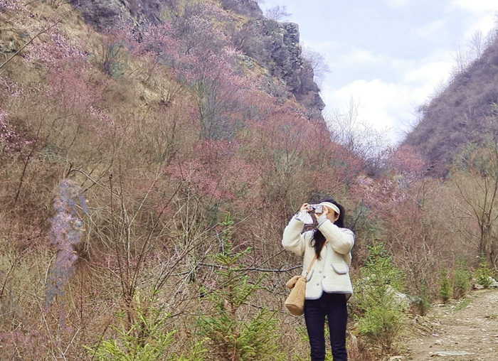 6381735029705151109283909.jpg 6381735029705151109283909.jpg