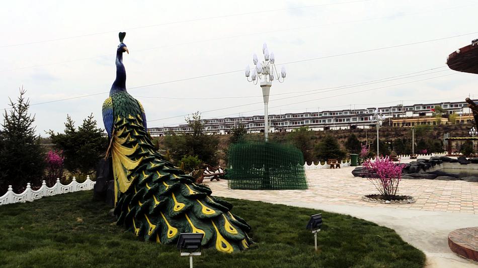 1588405187104567.jpg 图片7.jpg