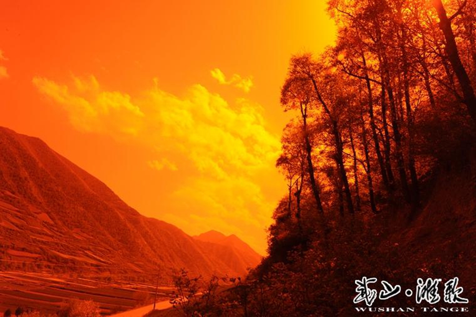 1507708439919847.jpg 9.jpg