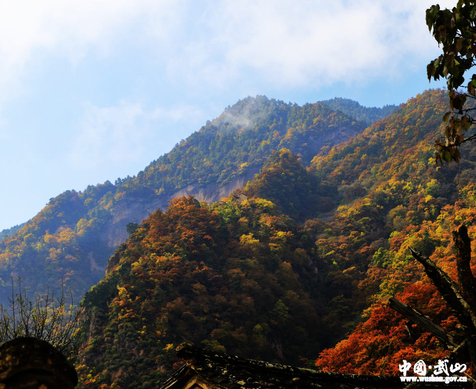 1509676806105909.jpg 6.jpg