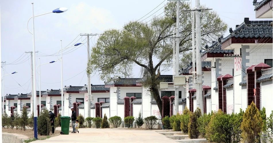 1588405169124439.jpg 图片6.jpg