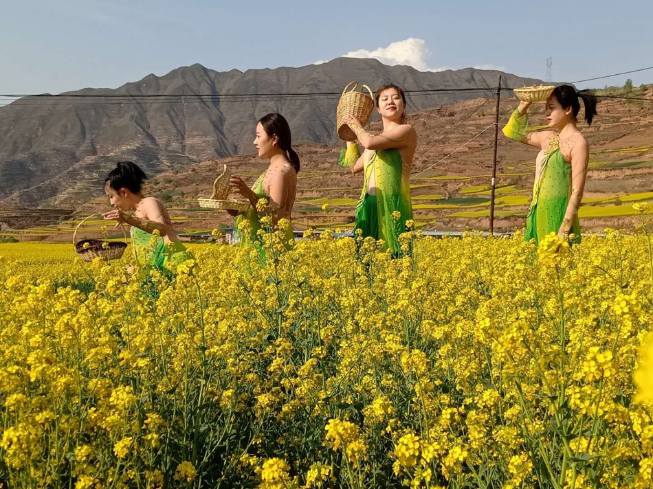 1588841708833525.jpg 油菜花节信息mmexport1588820895651.jpg