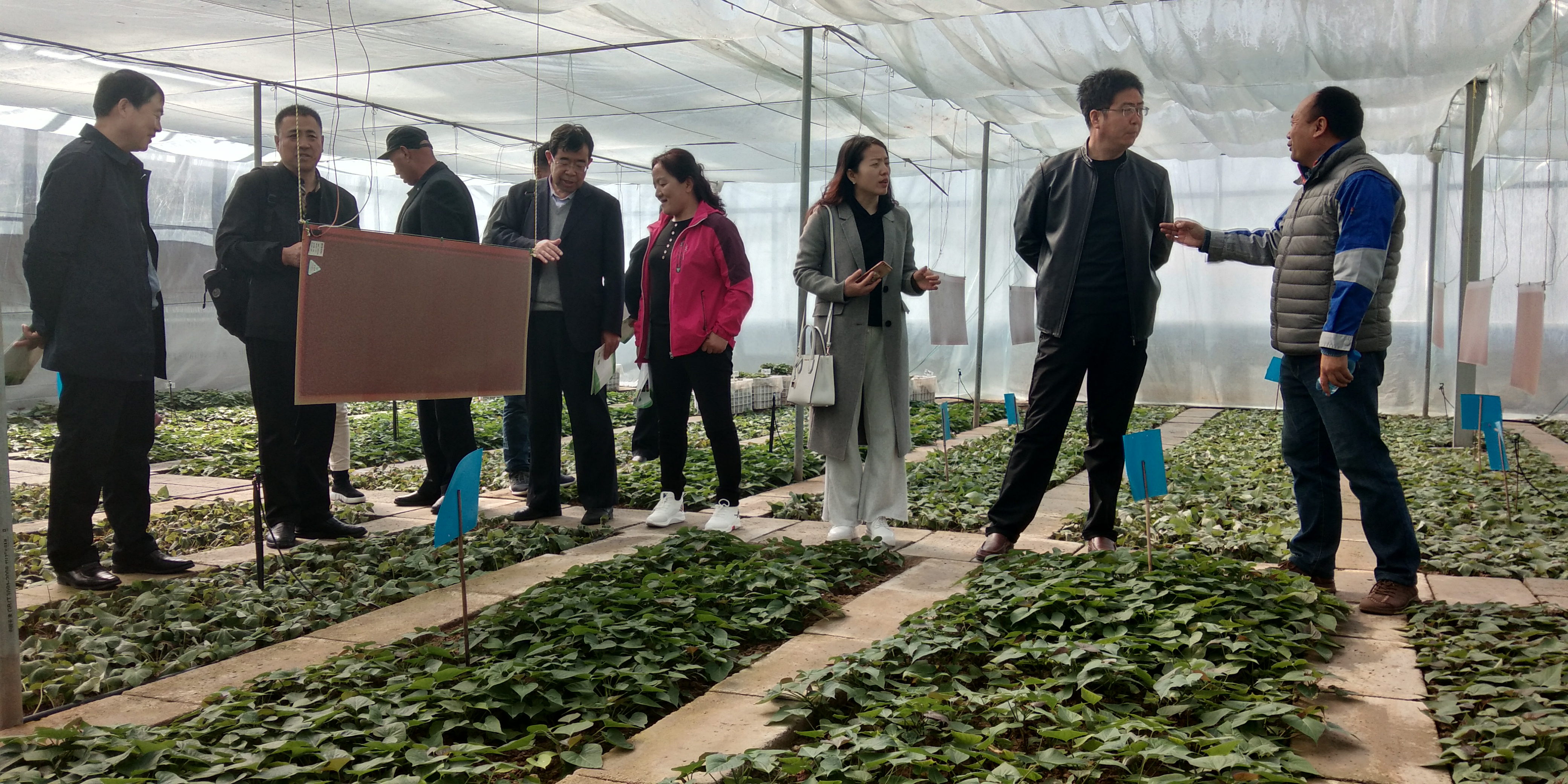 微信图片_2019032909030412.jpg 微信图片_2019032909030412.jpg