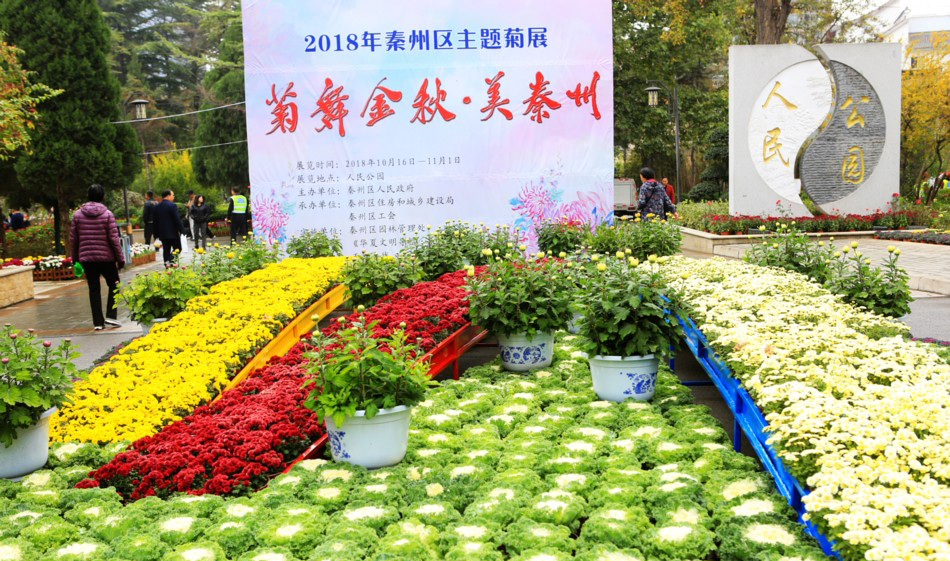 1539828303320758.jpg 1.jpg