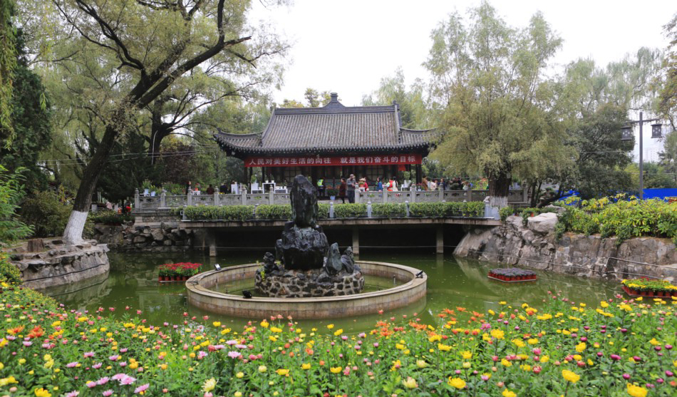 1539828318531528.jpg 2.jpg