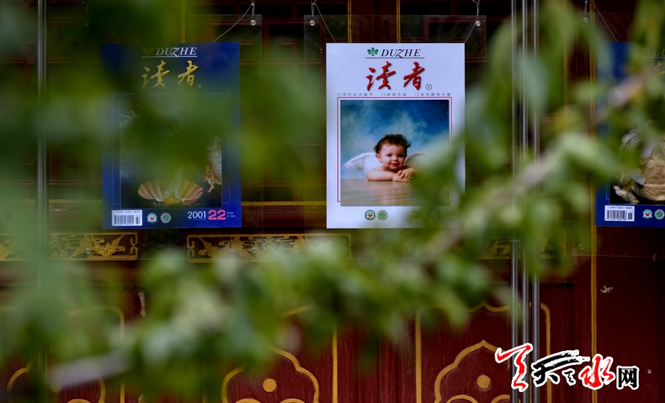 1507706265116461.jpg 3.jpg