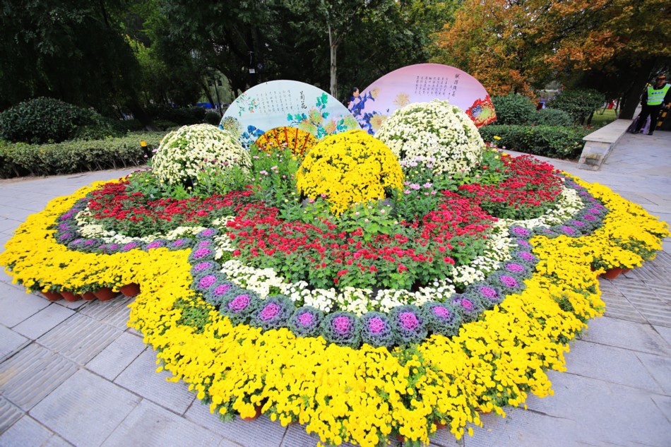 1539828325101318.jpg 3.jpg