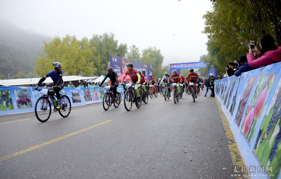 1539569946139121.jpg 10.jpg