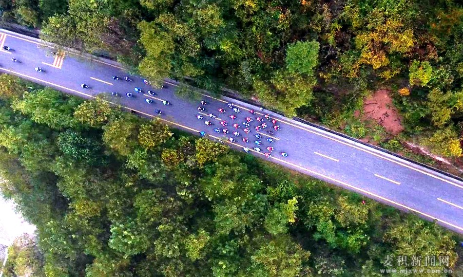 1539569990103005.jpg 13.jpg