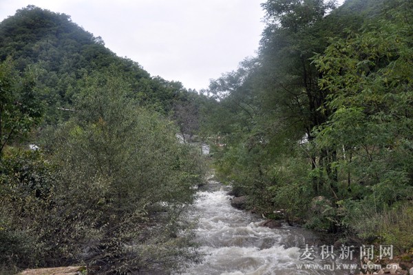 1507775383395720.jpg 4.jpg