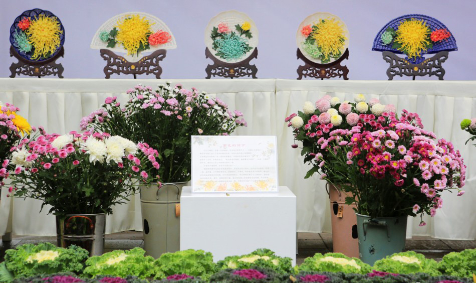 1539828332110867.jpg 4.jpg