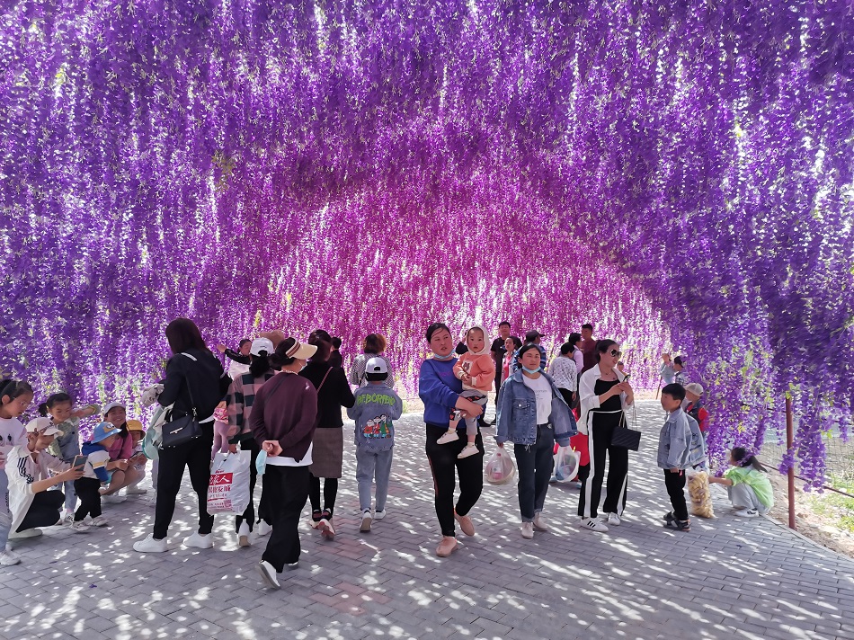 微信图片_202105051728363.jpg 微信图片_202105051728363.jpg